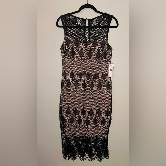 Bisou Bisou Dresses & Skirts - Bisou Bisou Black Lace Whimsygoth Dress Nude Lining Romantic Feminine 10